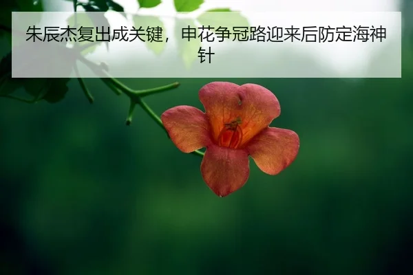 zhu-chen-jie-fu-chu-cheng-guan-jian-shen-hua-zheng-guan-lu-ying-lai-hou-fang-ding-hai-shen-zhen-2-140.jpg