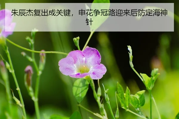 zhu-chen-jie-fu-chu-cheng-guan-jian-shen-hua-zheng-guan-lu-ying-lai-hou-fang-ding-hai-shen-zhen-3-326.jpg