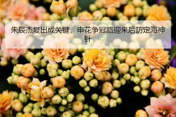朱辰杰复出成关键，申花争冠路迎来后防定海神针